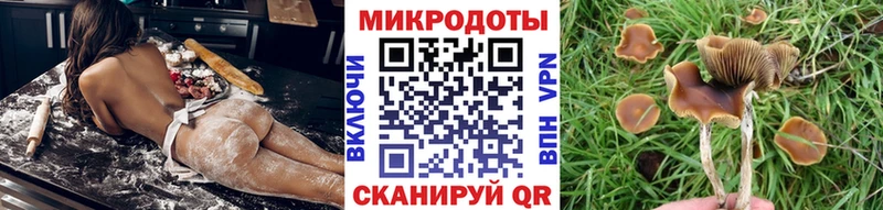 кракен ТОР  Фрязино  Галлюциногенные грибы мицелий 